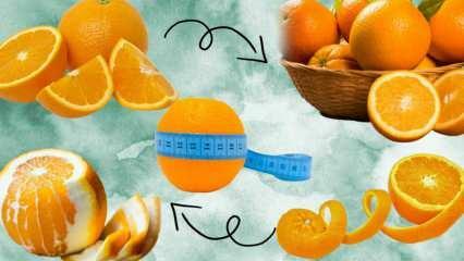 כמה קלוריות יש בתפוז? כמה גרם זה כתום בינוני אחד? האם אכילת תפוז גורמת לך לעלות במשקל?
