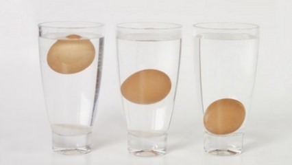 איך להבין ביצים מעופשות?