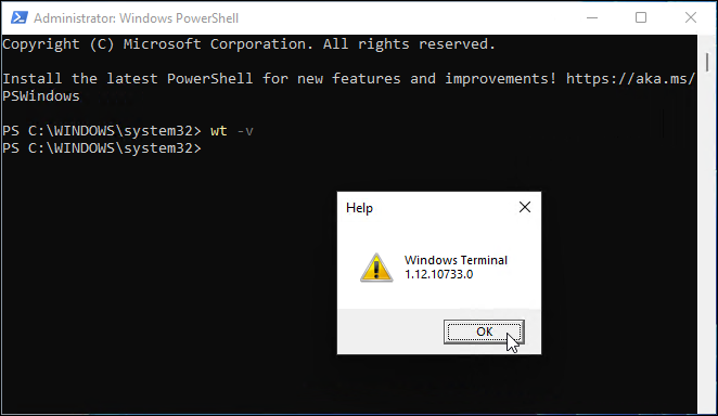 גרסת Windows Terminal