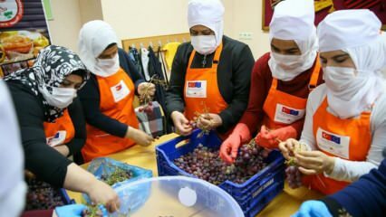 נשים סוריות לומדות להפוך ענבים למולסה באיזמיר