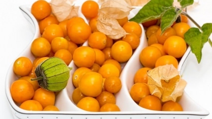 האם מיץ לימון ופירות יער מוזהבים נחלשים? ירידה במשקל עם תות זהב