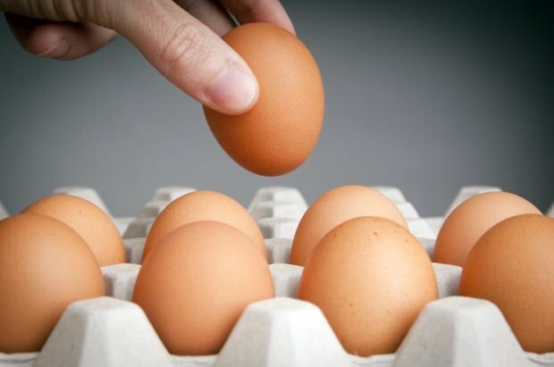 עצות מעשיות לשמירה על ביצים טריות