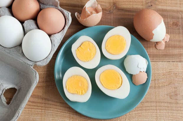 היתרונות של ביצה נמוכה