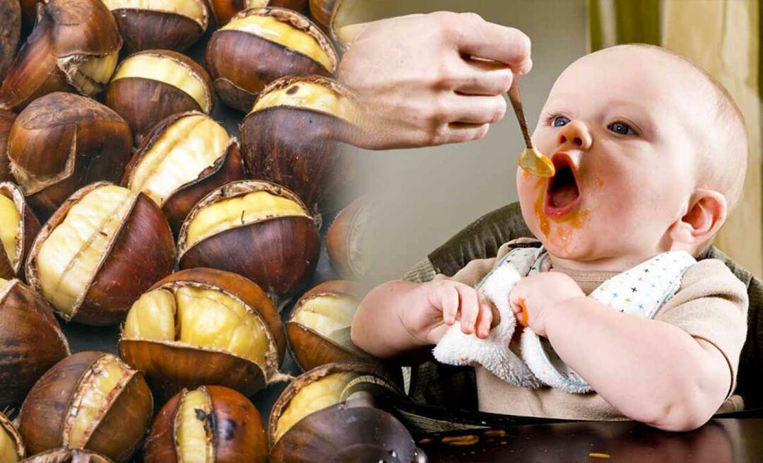 האם תינוקות יכולים לאכול ערמונים? איך מכינים פודינג ערמונים?