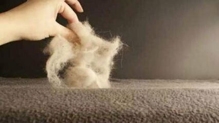 טריקים של ניקוי שטיחים 