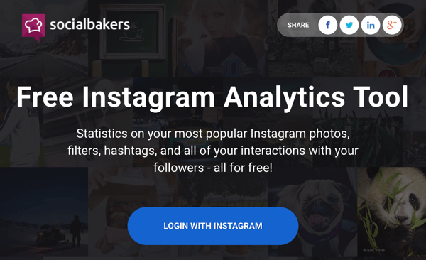 היכנס באמצעות Instagram כדי לקבל גישה לדיווח החינמי של חברת Socialbakers.