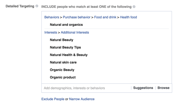 מודעה בפייסבוק לדוגמא אפשרויות מיקוד מפורטות