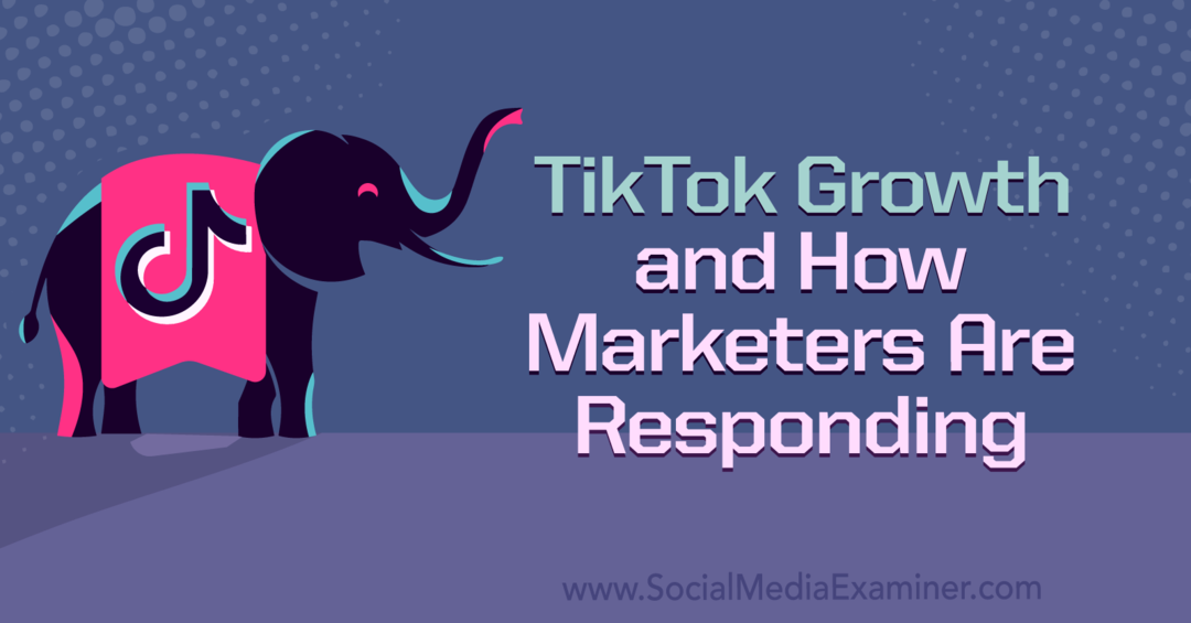צמיחה של TikTok ואיך מגיבים משווקים: בוחן מדיה חברתית