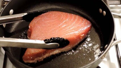 מהו דג טונה ואיך מבשלים אותו? הנה המתכון לצליית דגי טונה