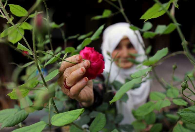 ריבת ורדים מיוזעת של אישה 