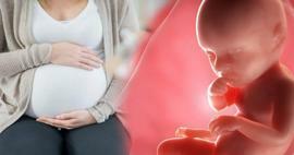 איך תינוקות מקבלים חומרים מזינים מהאם במהלך ההריון? כיצד להאכיל את התינוק ברחם מהאם