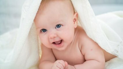 3 משחות הפריחה החיתוליות המובילות לתינוקות