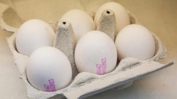איך להבין ביצה טובה