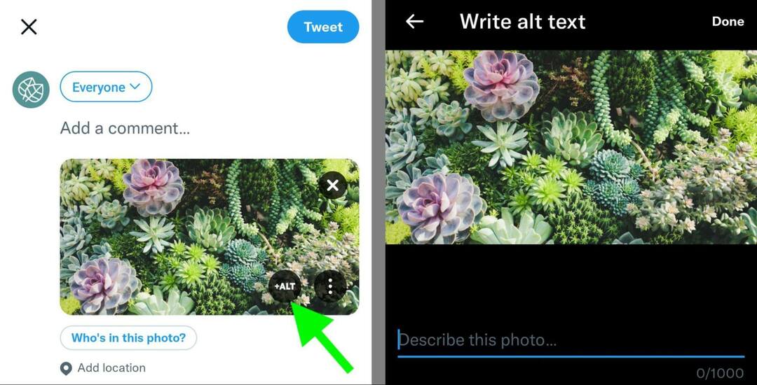 כיצד לבצע אופטימיזציה של תמונות-מדיה חברתית-חיפוש-טוויטר-alt-text-example-24