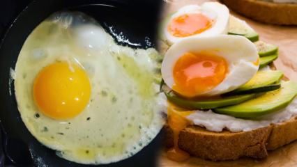 אילו שמנים מועילים לבריאותנו? אם אתם צורכים את הביצה מבושלת ...
