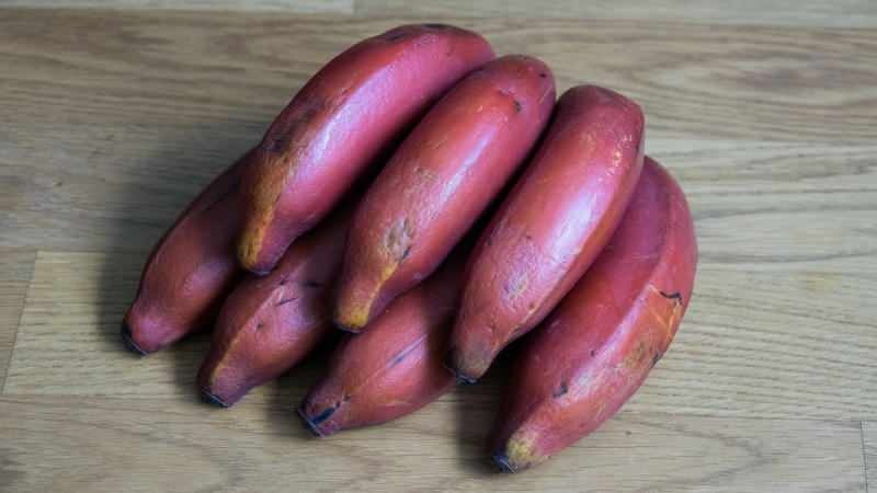 בננות אדומות הופכות סגולות עם התבגרותן