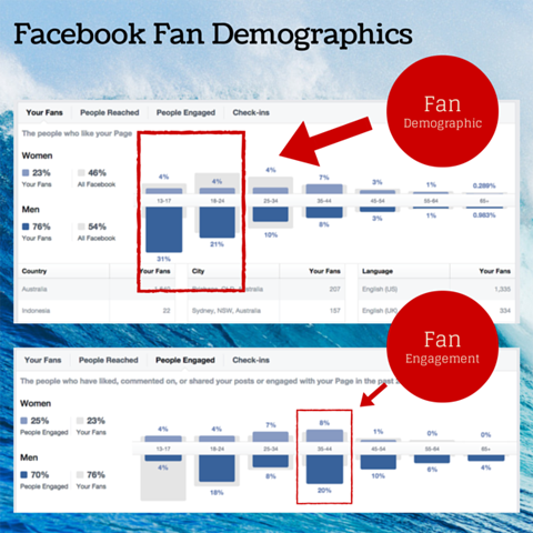 תרשים דמוגרפי של אוהדי פייסבוק