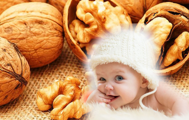 אגוזי מלך מועילים לתינוקות