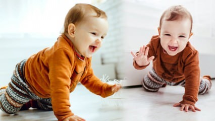 איך מלמדים תינוקות לזחול? מתי תינוקות זוחלים? שלבי זחילה