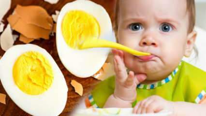 כיצד יש לתת חלמונים לתינוקות? כמה חודשים להתחיל את הביצה? מתכון ביצת תינוק