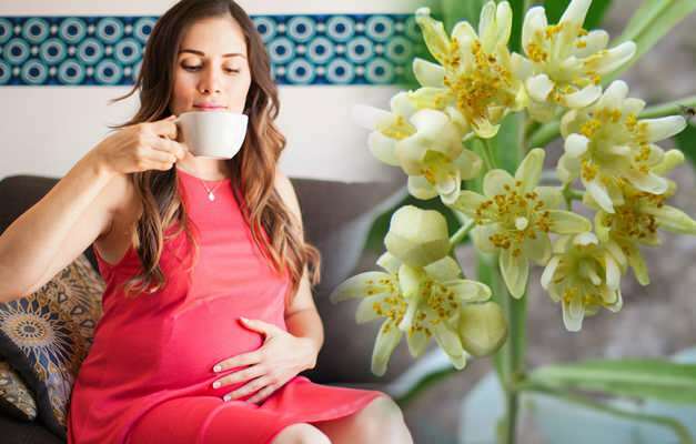 האם תה צמחים שיכור במהלך ההריון? תה צמחים מסוכן במהלך ההיריון