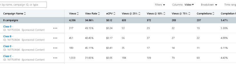 מנהל קמפיין מקושר עם דוגמה לנתוני קמפיין הכוללים צפיות, שיעור צפייה, מחיר בפועל לצפייה, וצפיות @ 25%, 50%, 75%, השלמות וכו '.