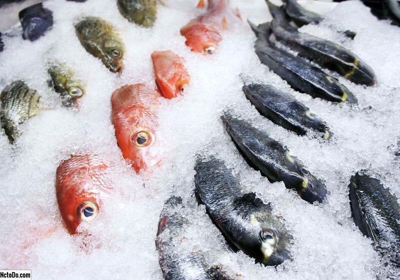 כיצד לאחסן דגים במקפיא