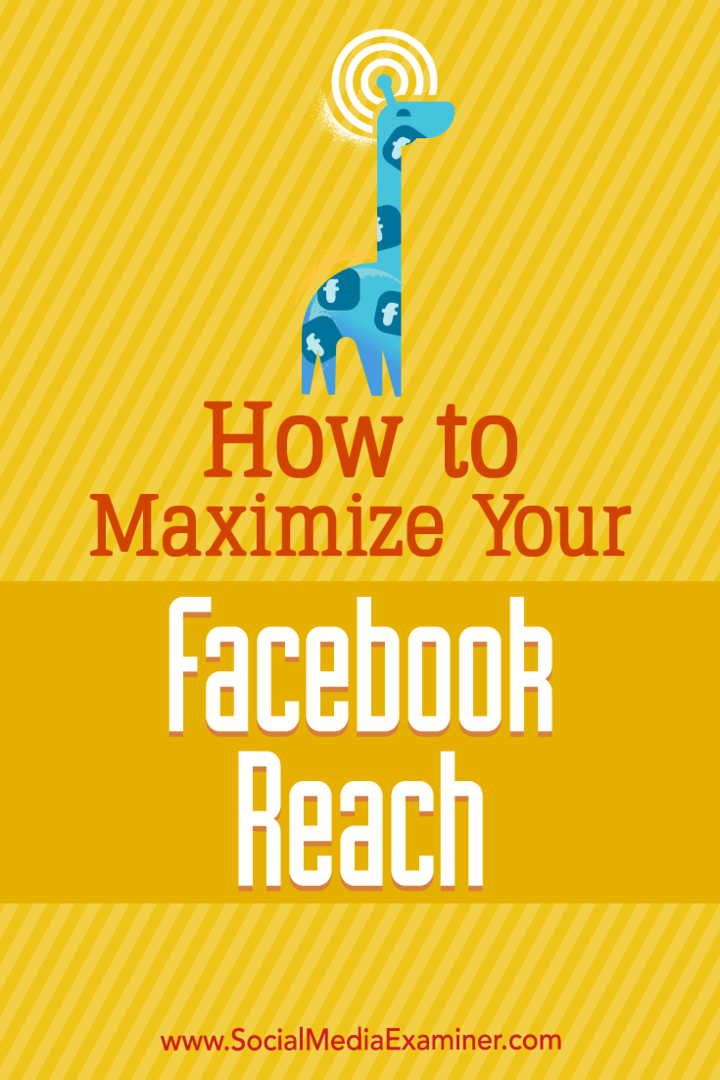 כיצד למקסם את טווח ההגעה שלך בפייסבוק: בוחן מדיה חברתית