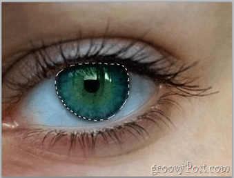 יסודות Adobe Photoshop - שכבת עיניים לבחירת עין אנושית