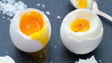 איך מבשלים את הביצים? 