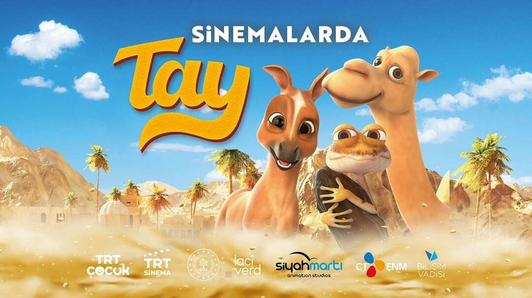 הפקה משותפת של TRT "TAY" תהיה סרט האנימציה הטורקי הראשון שיצא לאקרנים במזרח התיכון