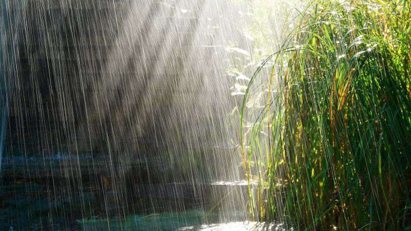 תפילות לקריאה למי הגשמים! האם גשם אפריל מחלים? היתרונות של גשם באפריל