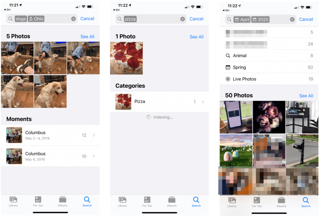 כיצד לחפש אובייקטים בתמונות באייפון ובאייפד