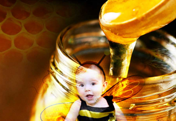 האם צריך לתת דבש לתינוקות?