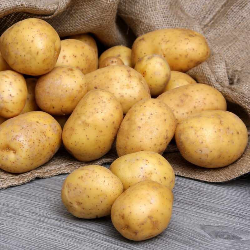 מה ההבדל בין תפוחי אדמה למאכל וצ'יפס