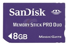 כרטיס זיכרון Dandisk 8GB