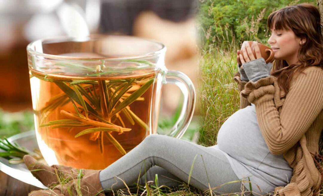 האם נשים בהריון יכולות לשתות תה חורף? איזה תה כדאי לשתות במהלך ההריון? תה חורף לנשים בהריון