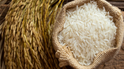 כיצד ניתן להבין את מיטב האורז? 