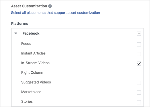 אם ברצונך להציג את מודעות הווידאו שלך רק בפייסבוק, בחר סרטוני וידאו זורם תחת פייסבוק.