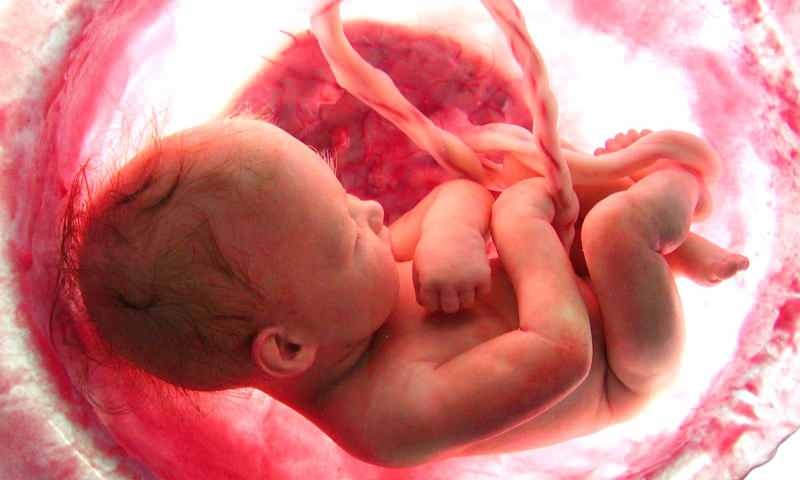 מה היווצרות התינוק ברחם? תהליך לידה שלב אחר שלב