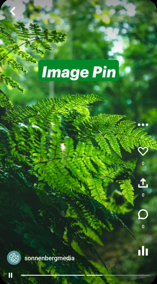 מה-הם-pinterest-idea-pins-sonnenbergmedia-image-pin-example-2