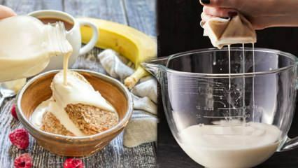 איך מכינים חלב שיבולת שועל בבית? ייצור מעשי של חלב שיבולת שועל