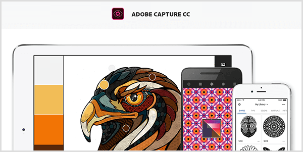 Adobe Capture יוצר לוח מתמונה שתצלם עם מכשיר נייד. באתר מוצג איור של ציפור ופלטה שנוצרה מהאיור, הכוללת אפור בהיר, צהוב, כתום וחום אדמדם.