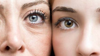 מהם הוויטמינים המגנים על בריאות העיניים? 