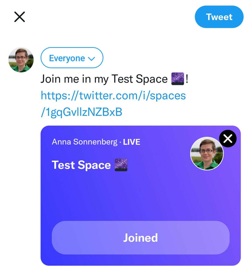 איך-ליצור-twitter-spaces-share-space-tweet-linkedin-facebook-anna-sonnenberg-step-8