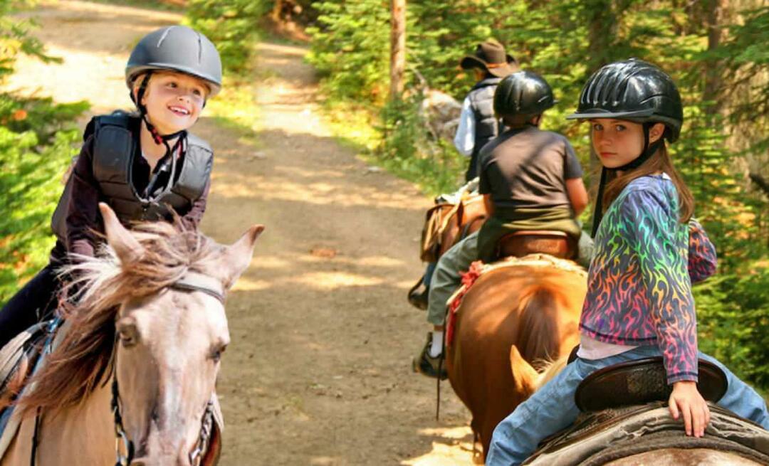 איפה לרכוב על סוסים באיסטנבול? מקומות לרכוב על סוסים באיסטנבול