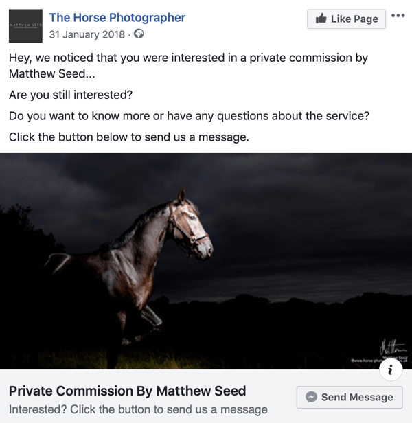 כיצד להמיר מבקרים באתר באמצעות מודעות מסנג'ר בפייסבוק, שלב 3, דוגמה לפרסום מאת צלם הסוסים