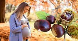 האם נשים בהריון יכולות לאכול ערמונים? יתרונות אכילת ערמונים במהלך ההריון לתינוק ולאם