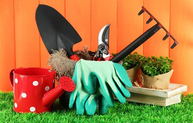 איך לנקות את הגן