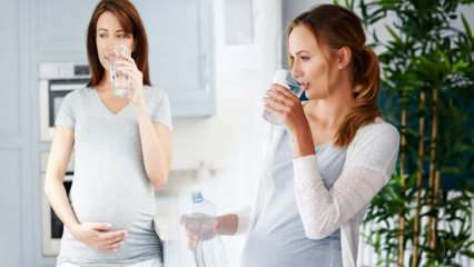 יתרונות שתיית מים לנשים בהריון! כמה מים יש לצרוך ביום במהלך ההריון? 